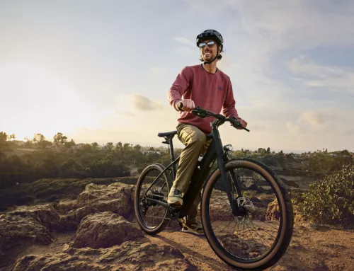 Quelle puissance choisir pour votre vélo électrique ?