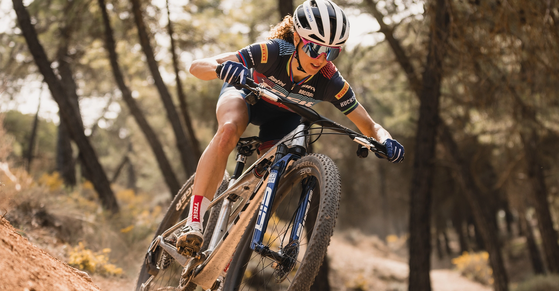 img_cat_vtt_2